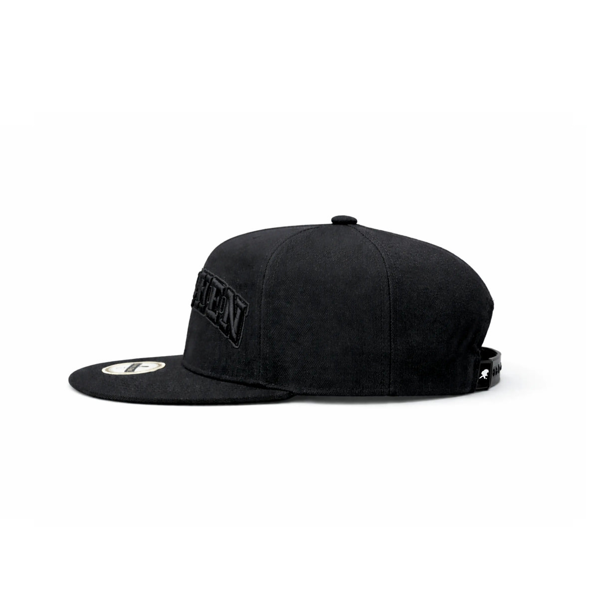Hyphen Rainbow Logo SnapBack (Black/Black) - Hyphen Footwear