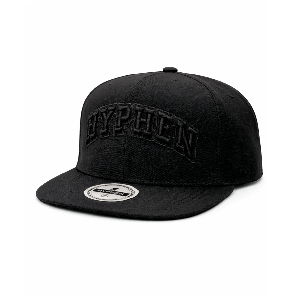 Hyphen Rainbow Logo SnapBack (Black/Black) - Hyphen Footwear