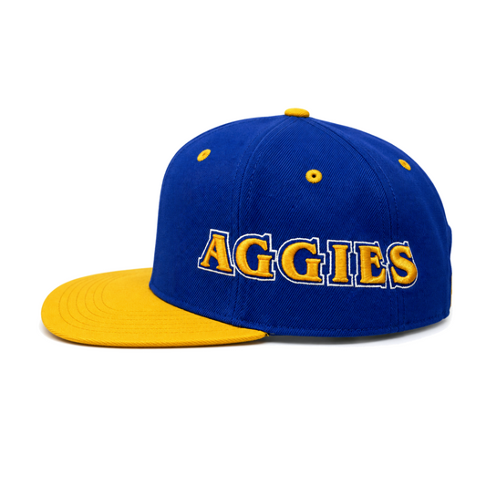 Hyphen x A&T 100th Homecoming Snapback Preorder: (Ships 10/15/26) - Hyphen Footwear